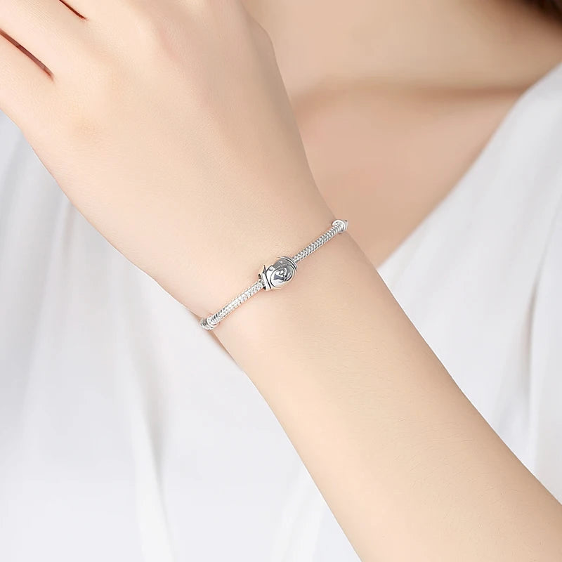 Strieborný prívesok S925 – Love Pets