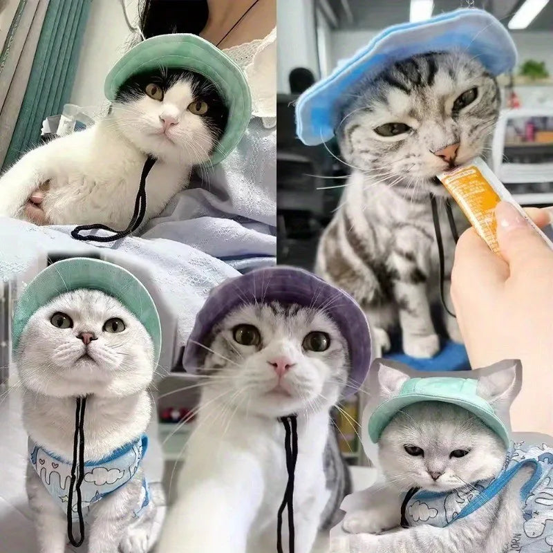 Roztomilé klobúky pre mačky a psov